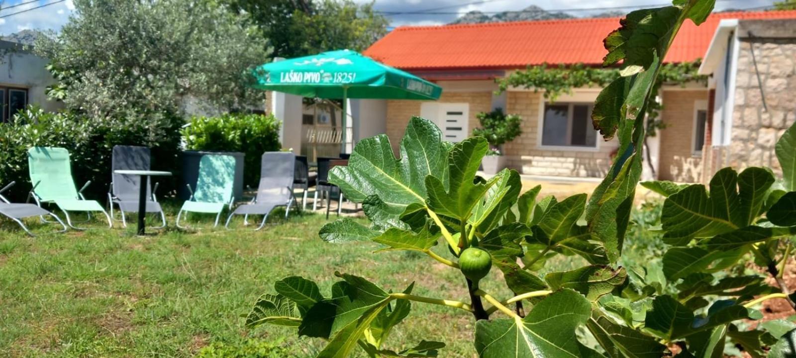 Holiday Home Zeljko,Marija & Jakov Starigrad Paklenica Zewnętrze zdjęcie